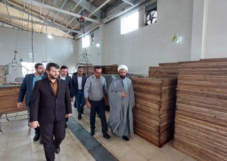 ضرورت تسهیل اخذ مجوز و توسعه صادرات دانش‌بنیان‌ها در مناطق آزاد