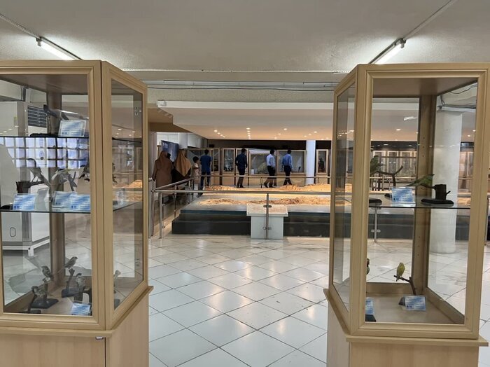 افزایش ۱۶۰ درصدی بازدید از موزه ژئوپارک قشم
