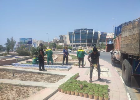 کاشت بیش از 300 هزار گل فصلی در قشم