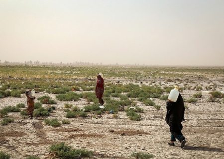 «مردم» بازنده بزرگ «جدال آبی» آبفا و منطقه آزاد در قشم