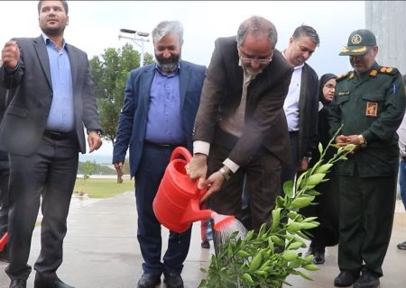 کاشت 22 نهال به یاد 22 شهید جزیره جهانی قشم در روز درختکاری