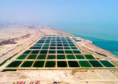 طراحی سیاست‌های کلان حوزه شیلات و کشاورزی منطقه آزاد قشم تا افق 1408