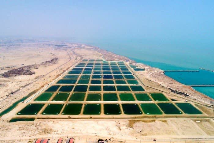 طراحی سیاست‌های کلان حوزه شیلات و کشاورزی منطقه آزاد قشم تا افق 1408