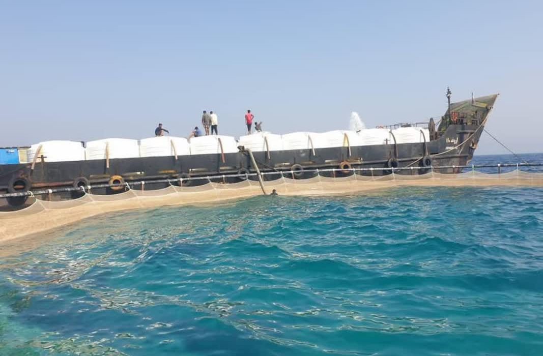 آغاز ذخیره‌سازی 200 هزار قطعه بچه ماهی سی باس در قشم