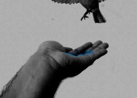 عطش بشارتی به جشنواره نیویورک راه یافت