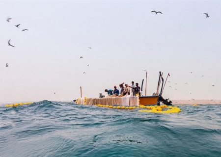 آغاز فصل صید ماهی متو و ساردین در قشم