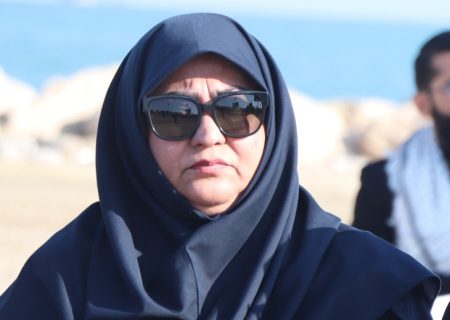 برق در جزیره لارک پایدار شد